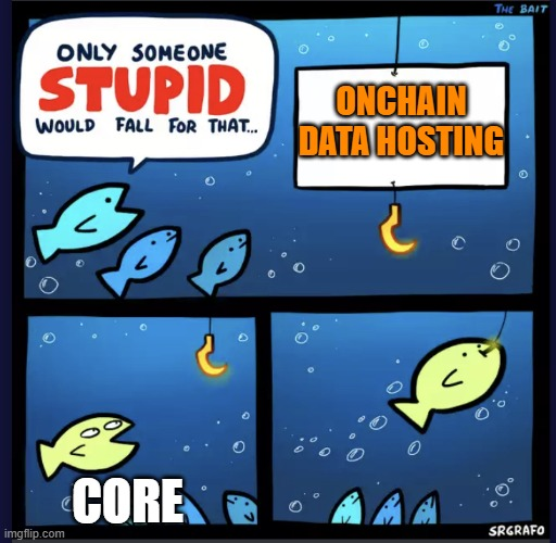 Onchain data hosting — Only someone stupid would fall for that
Onchain data hosting
Core - yoink