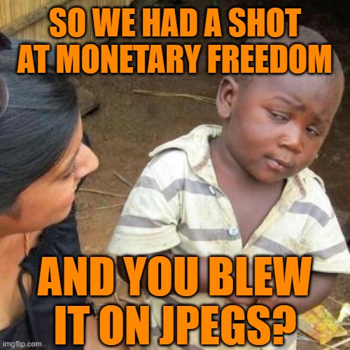 Blowing the monetary revolution — So we had a shot at monetary freedom and you blew it on jpegs?