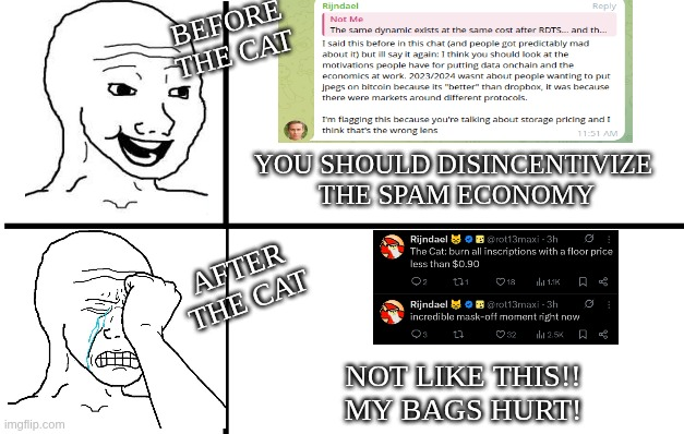 The Cat's Spam Economy Disincentive — BEFORE THE CAT
YOU SHOULD DISINCENTIVIZE THE SPAM ECONOMY
AFTER THE CAT
NOT LIKE THIS!!
MY BAGS HURT!
Rijndael
Not Me
The same dynamic exists at the same cost after RDTs... and th…