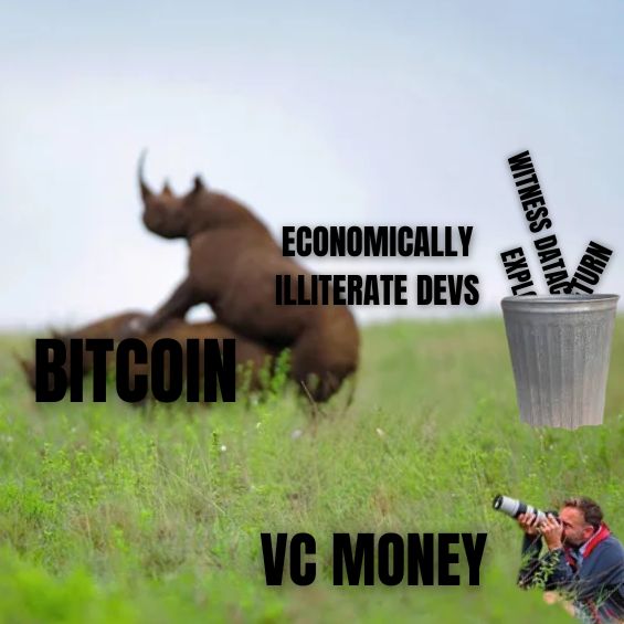 Bitcoin: The Rhinoceros of VC Money — ECONOMICALLY
ILLITERATE DEV'S
BITCOIN
VC MONEY
WITNESS DATA TURN
EXPLORATION