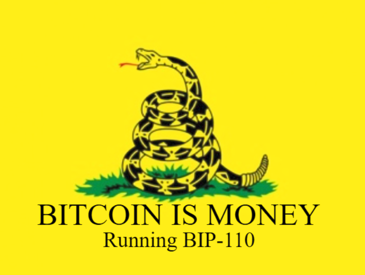 Bitcoin is Money: Running BIP-110 — BITCOIN IS MONEY
Running BIP-110